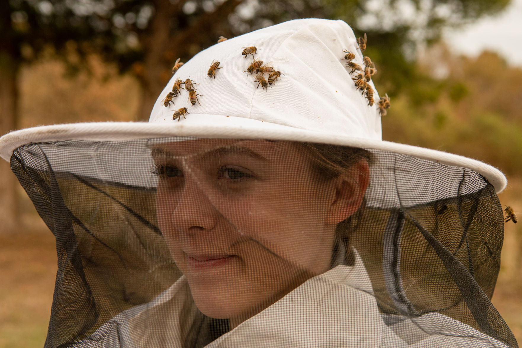 11172019_local_bees-11.jpg
